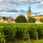 sunny-landscape-bordeaux-vineyards-saint-emilion-aquitaine-region-france-sunny-landscape-bordeaux-vineyards-saint-127520994