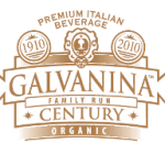 logo_galvanina-2